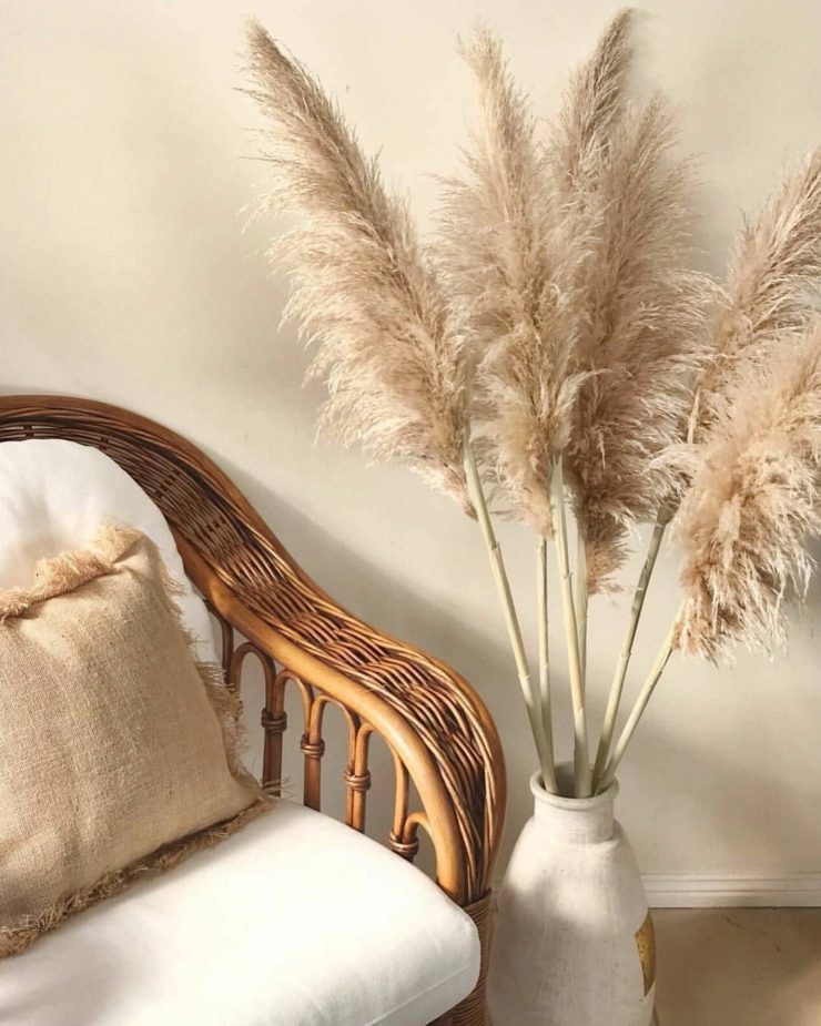 3 Tips For Decorating With Pampas Grass Days Like Laura